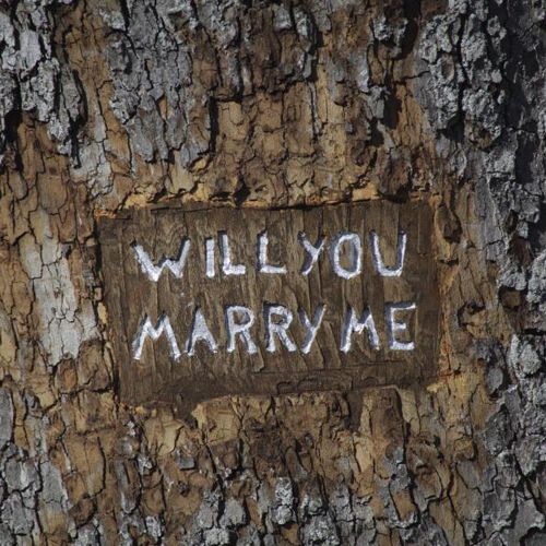 5 Swoon Inducing Ideas to Make your Proposal Memorable.